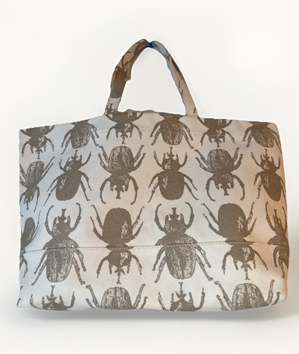 India hicks the eleuthera - india,